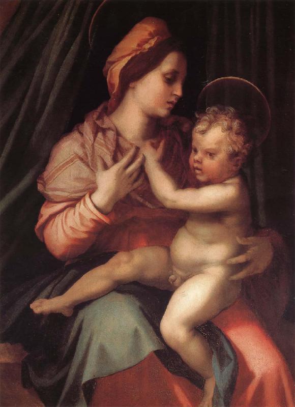 Andrea del Sarto Virgin Mary and her son oil painting image
